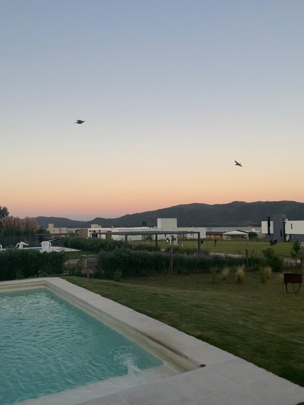 Carmela Olcese - LAS AVES DEL ATARDECER