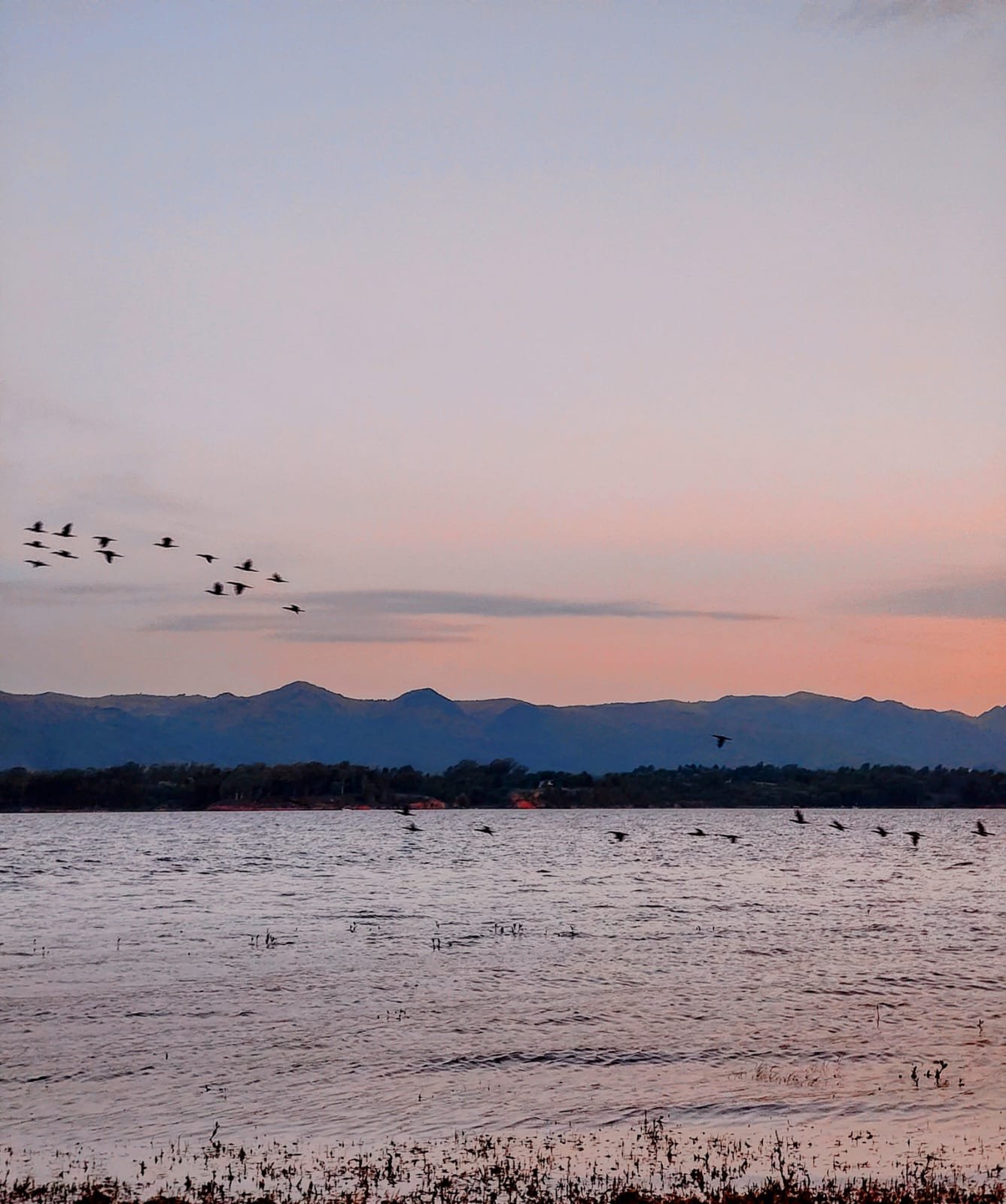 Lore Catan - Atardecer